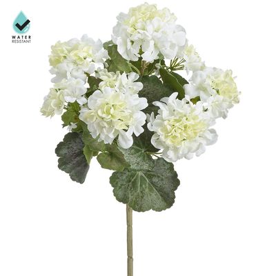 18"WATER RESIST.GERANIUM BUSH