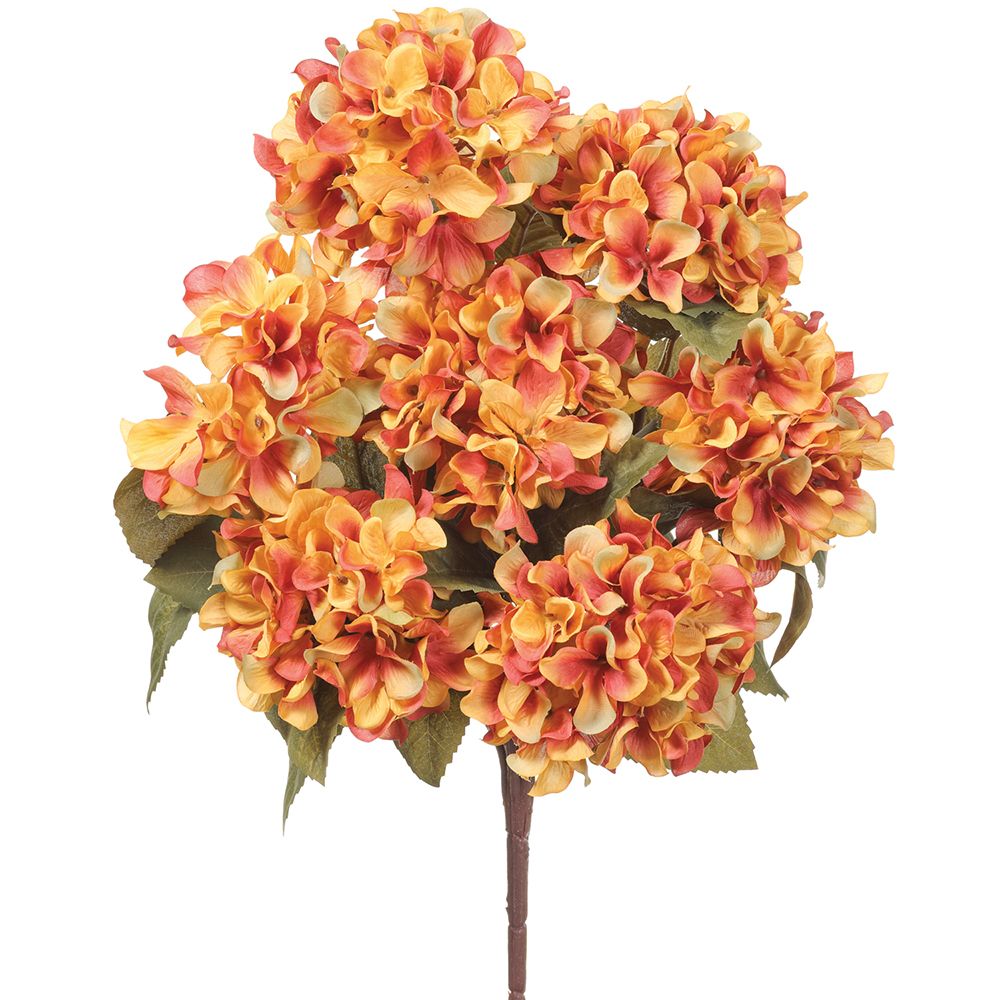 21"HYDRANGEA BUSH X7 MD/BR