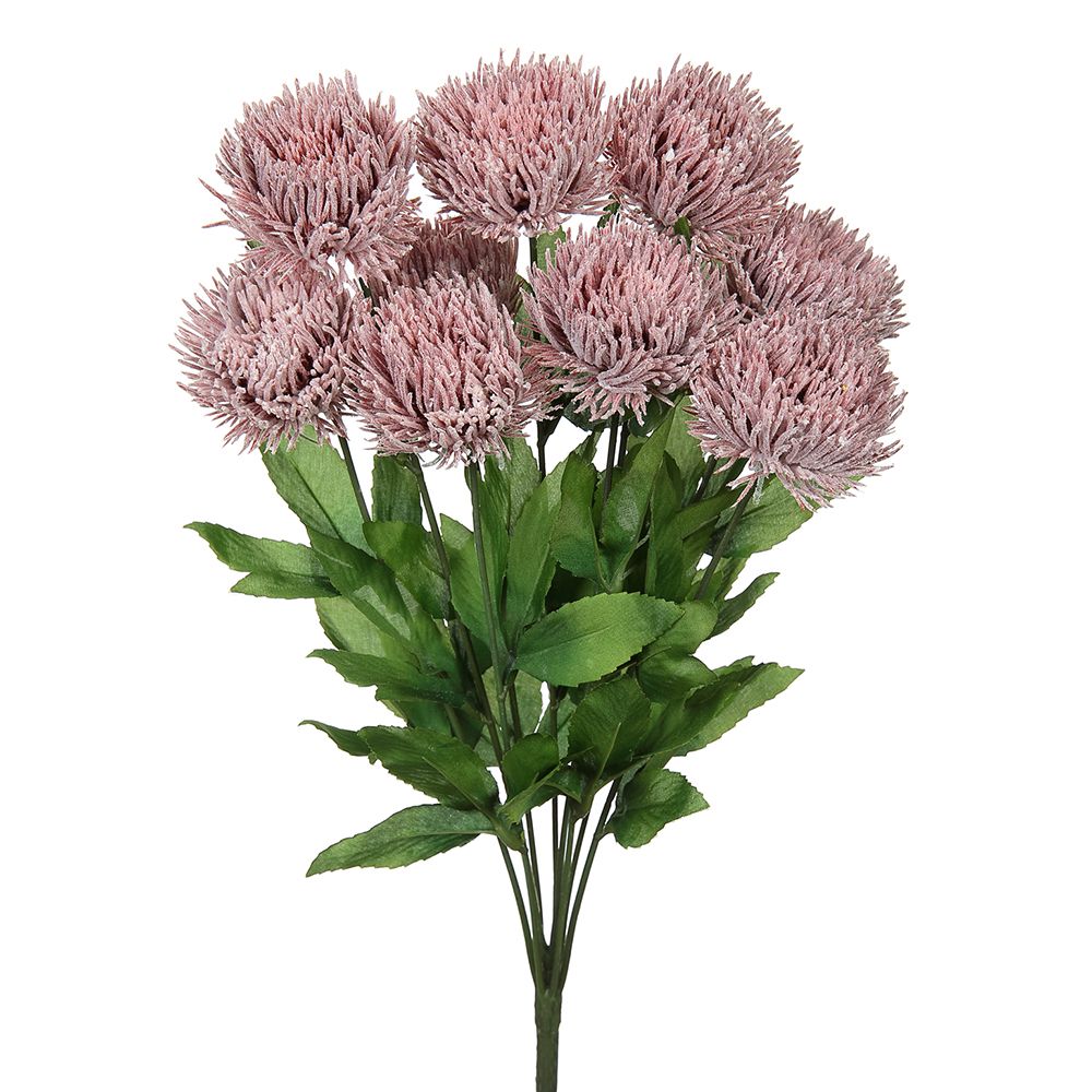 16.5"PROTEA BUSH X9 WI