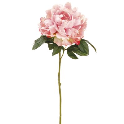 23"PEONY SPRAY PK