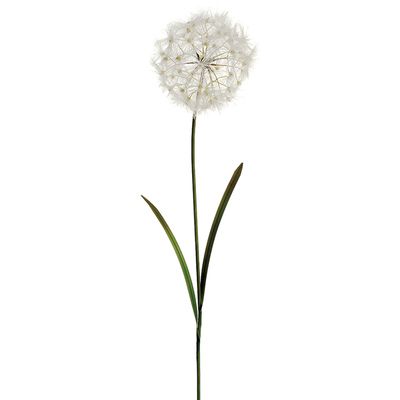40"DANDELION SPRAY CR