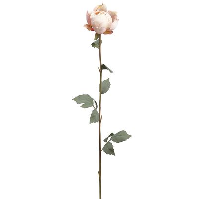 31.9"PEONY BUD SPRAY PK
