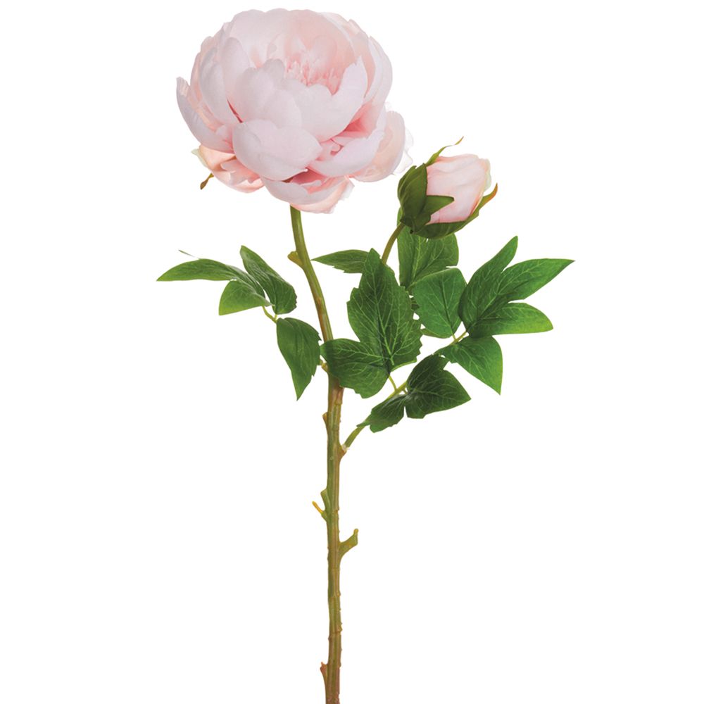 23"PEONY SPRAY WITH BUD MV