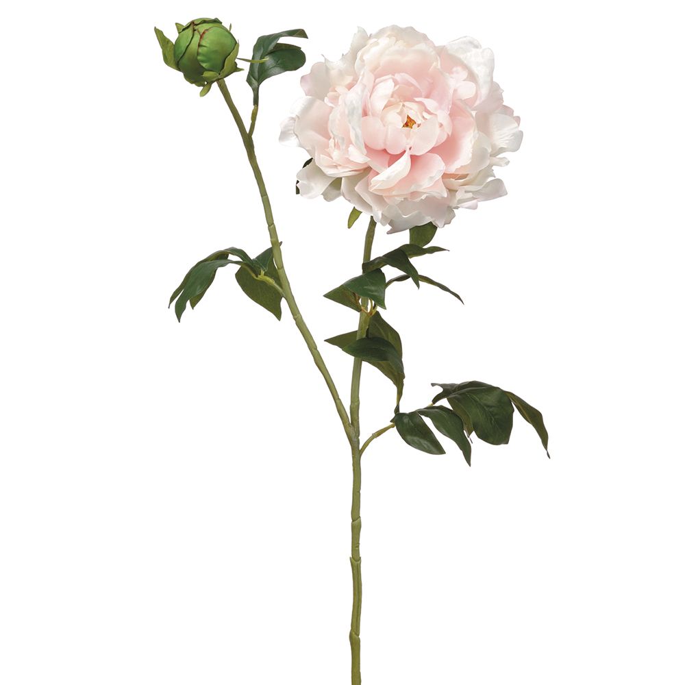 31"PEONY SPRAY PK/SO
