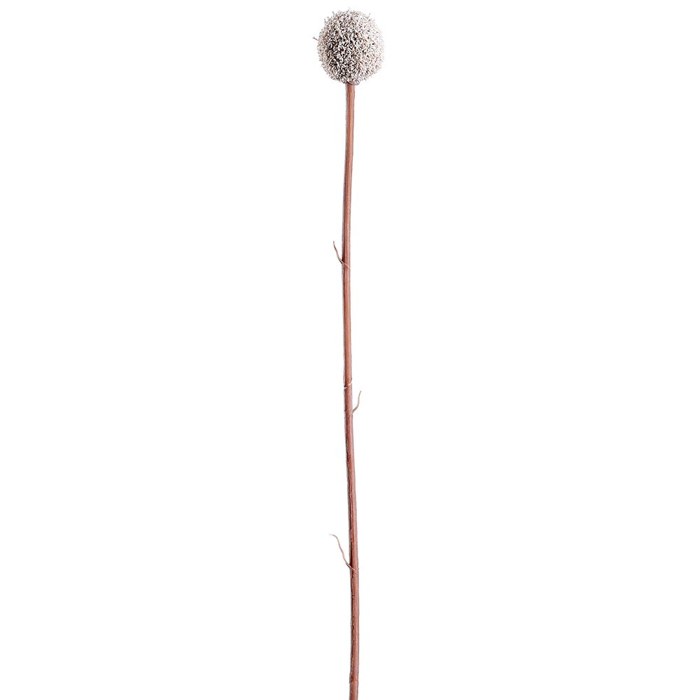 28"BILLY BUTTON SPRAY WH FSB669-WH