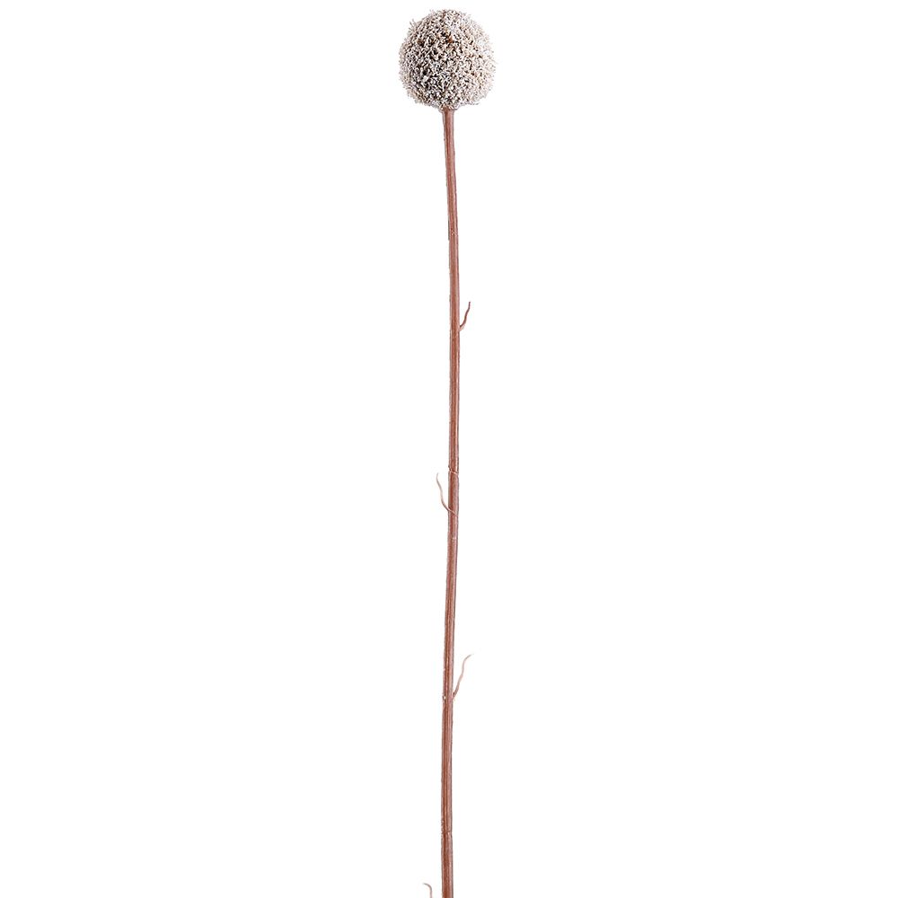 28"BILLY BUTTON SPRAY WH FSB670-WH