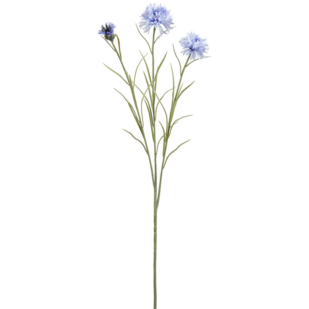 25.5"CORNFLOWER SPRAY X3 HE