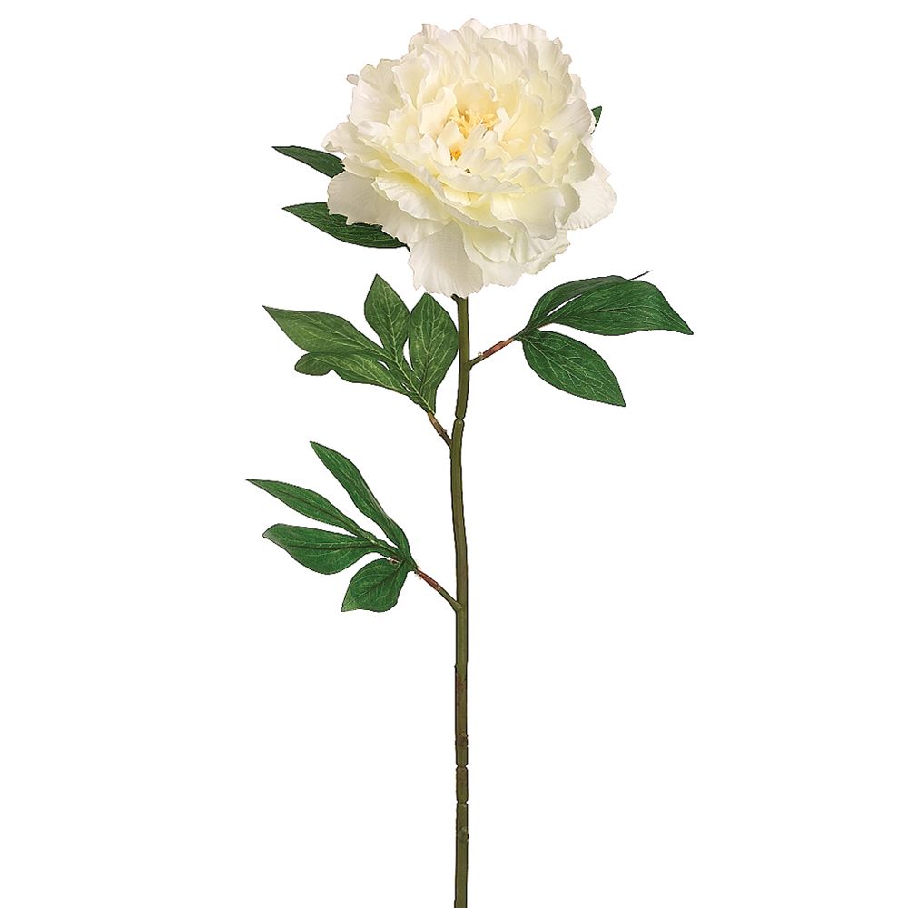 27"PEARL PEONY SPRAY CR