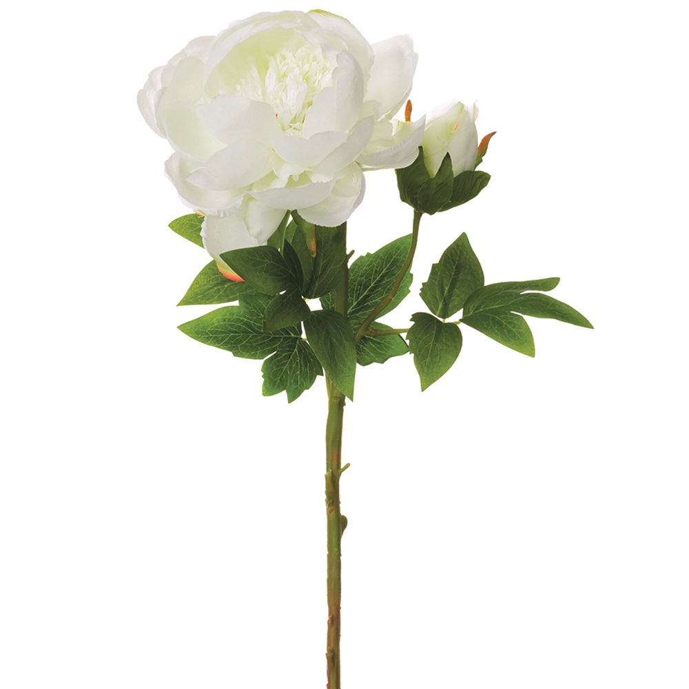 23"PEONY SPRAY WITH BUD CR