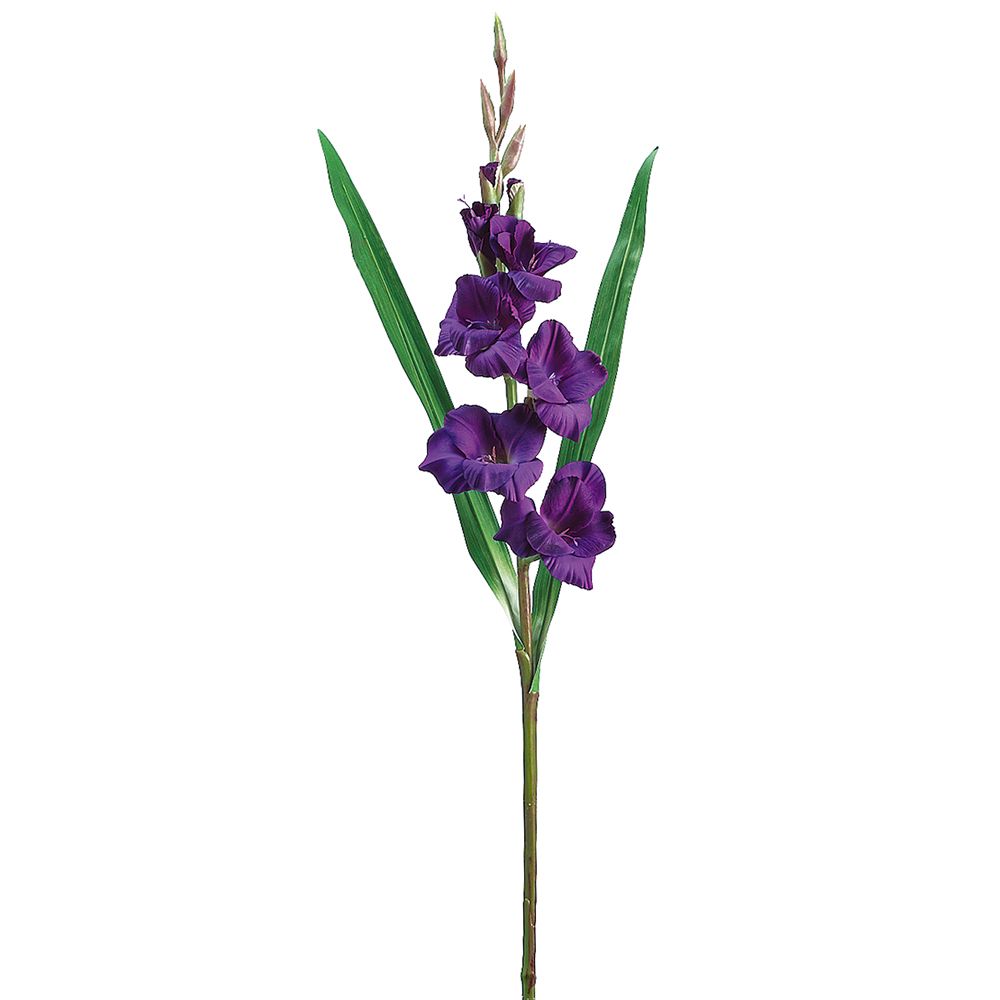 33"GLADIOLUS SPRAY PU