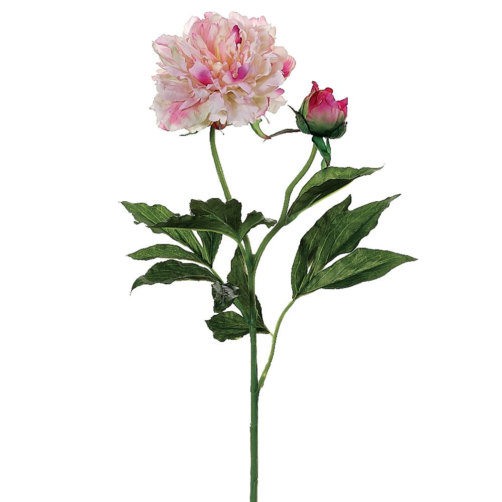 28"PEONY SPRAY PK/TT