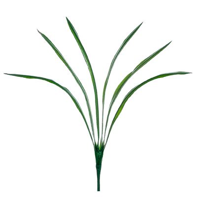 26"SM CYMBIDIUM PLANT 6L