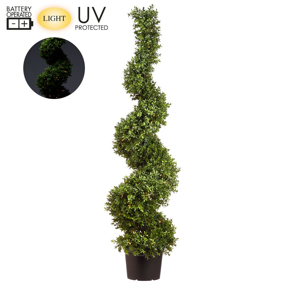 58"B/O UV BOXWOOD SPIRAL W/L(P