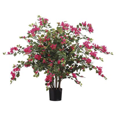 39" BOUGAINVILLIA PLANT IN POT
