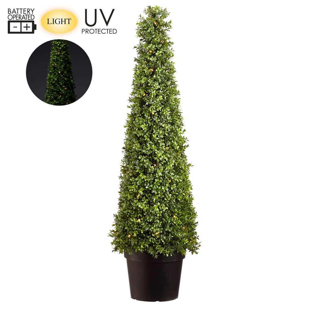 48"B/O UV BOXWOOD CONE W/L(P)