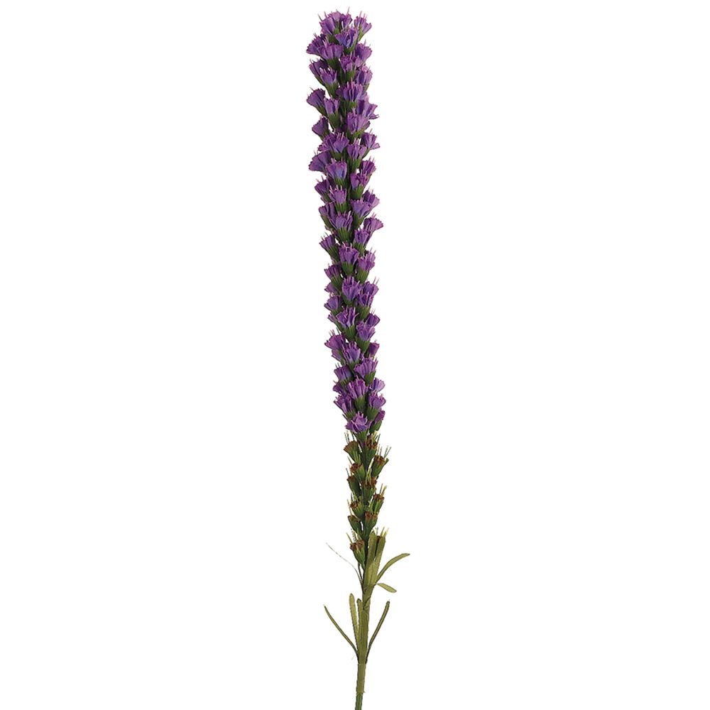 27"LIATRIS SPRAY PU/BL