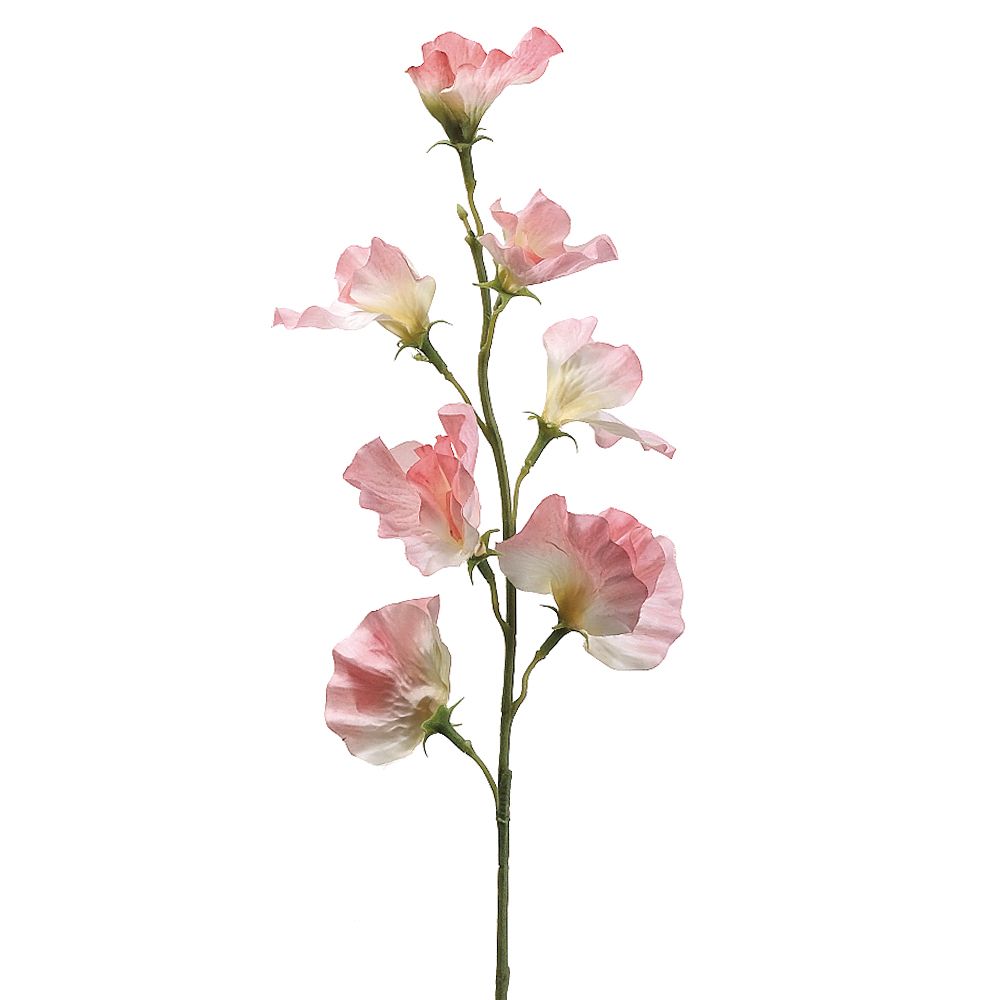 22"SWEET PEA SPRAY PK