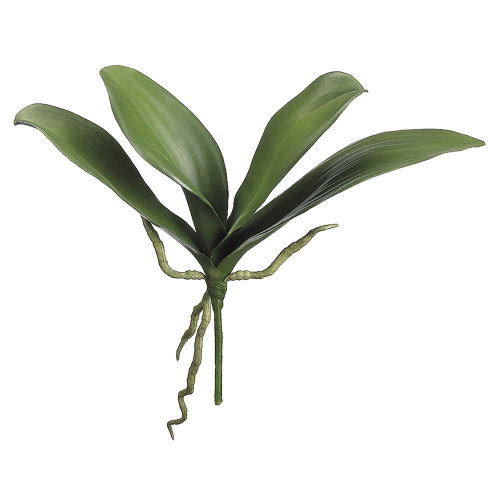12"PHALAENOPSIS LEAF PLANT GR HSO117-GR
