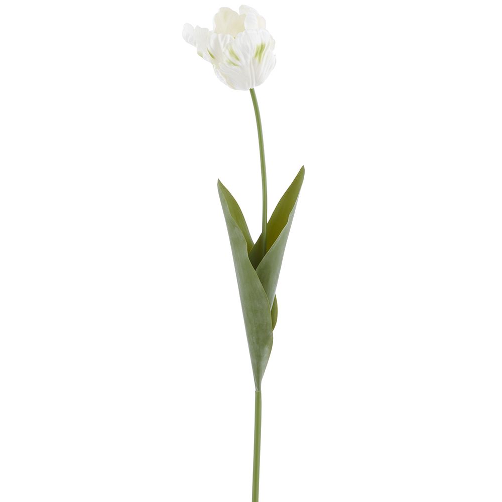 26.5"RT PARROT TULIP SPRAY
