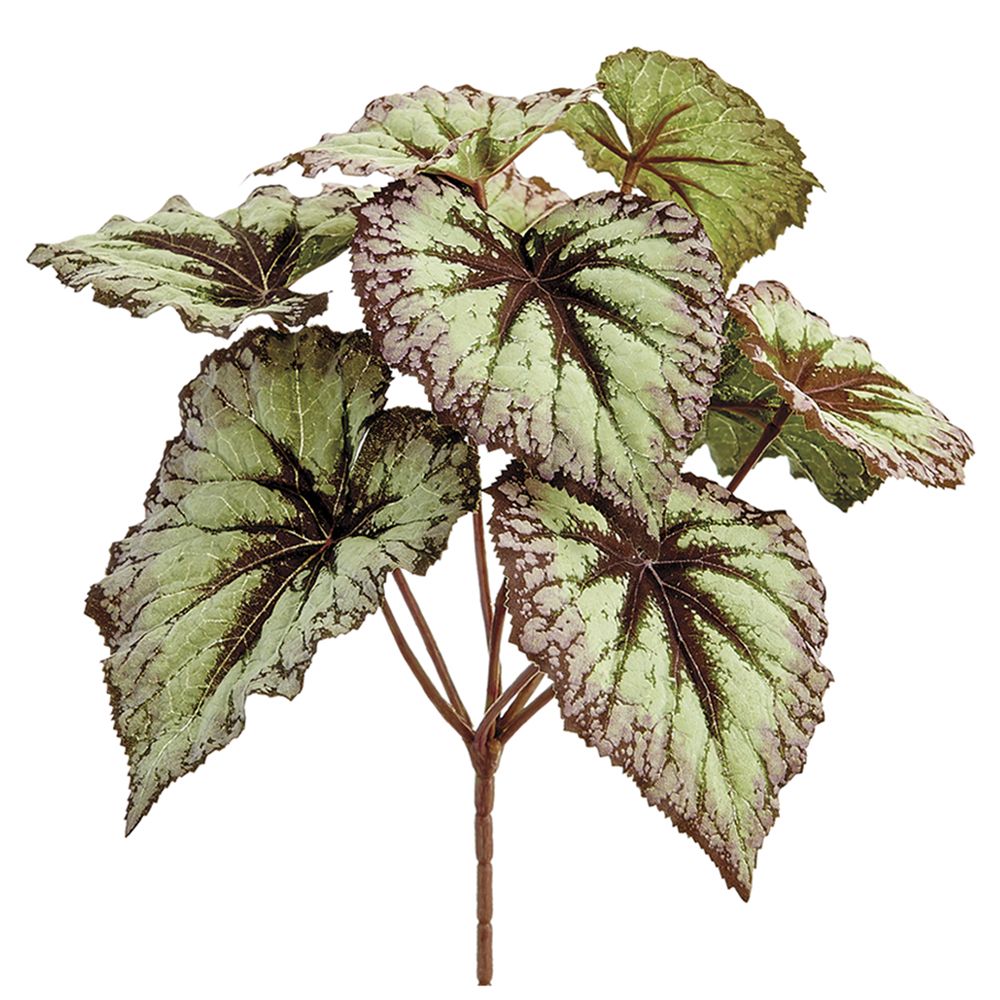 9"BEGONIA LEAF BUSH X7 GR/PU
