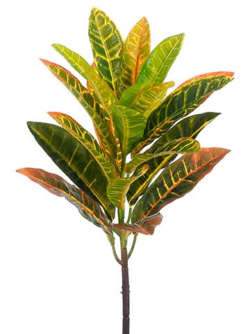 21"CROTON SPRAY YE/GR