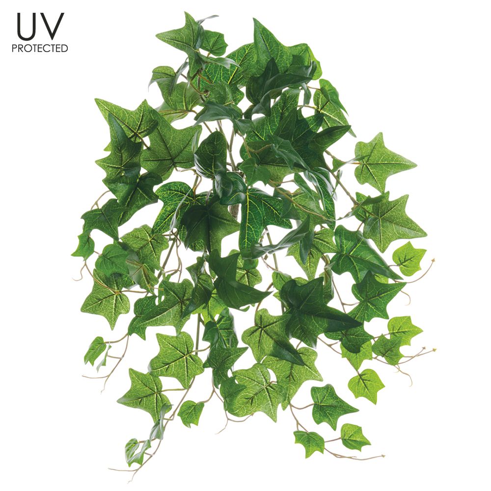 19"UV PROTECTED IVY BUSH GR