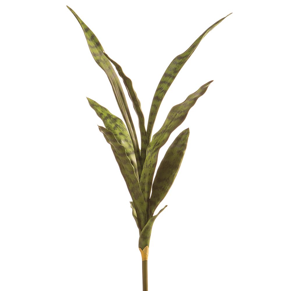 27"SANSEVIERIA PLANT X9 GR