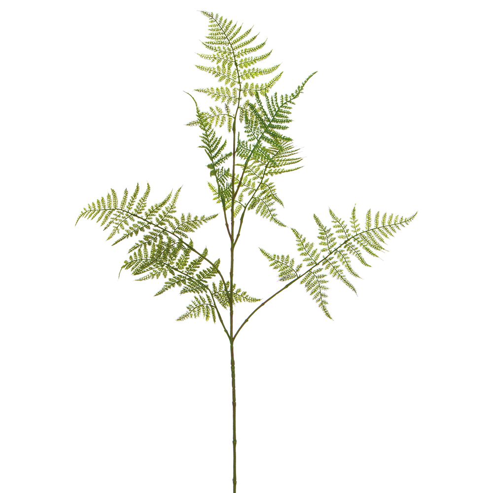 34"ASPARAGUS FERN SPRAY GR/TT