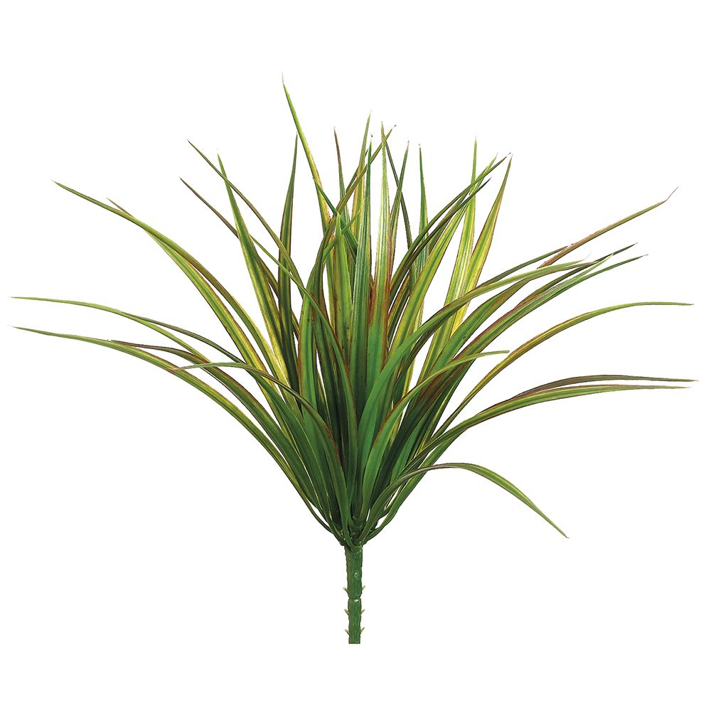 12"VANILLA GRASS BUSH 44L GRRE