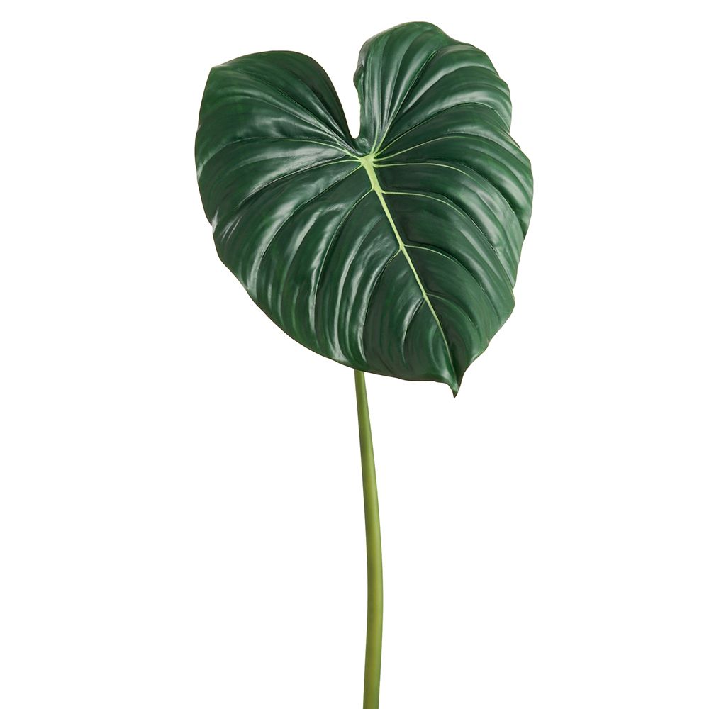 34.2"RT PHILODEND.LEAF SPRAY
