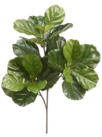 34" FIDDLE LEAF BRANCH GR