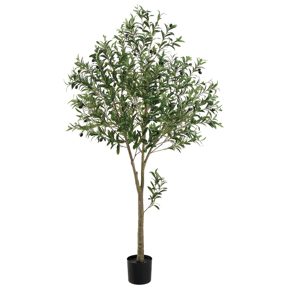 72"OLIVE TREE IN PLASTIC POT