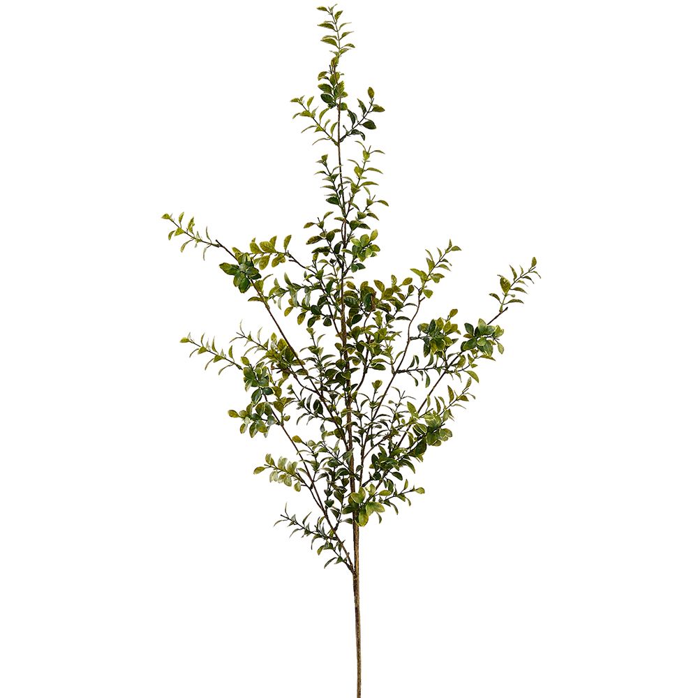 48"BOXWOOD SPRAY GR
