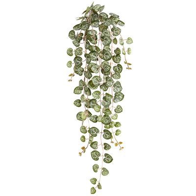 21.5"STRING OF HEARTS PLANT