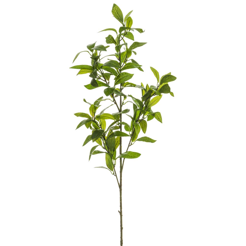 37"LAUREL LEAF SPRAY GR