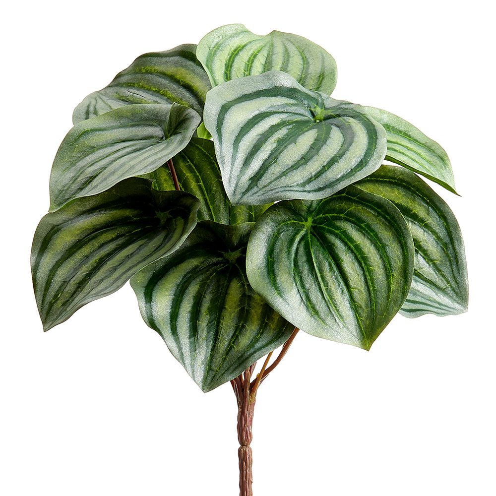 9"PEPPEROMIA LEAF BUSH GR/VG