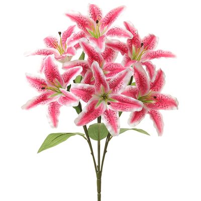 20"RUBRUM LILY BUSH X7 PK/RB