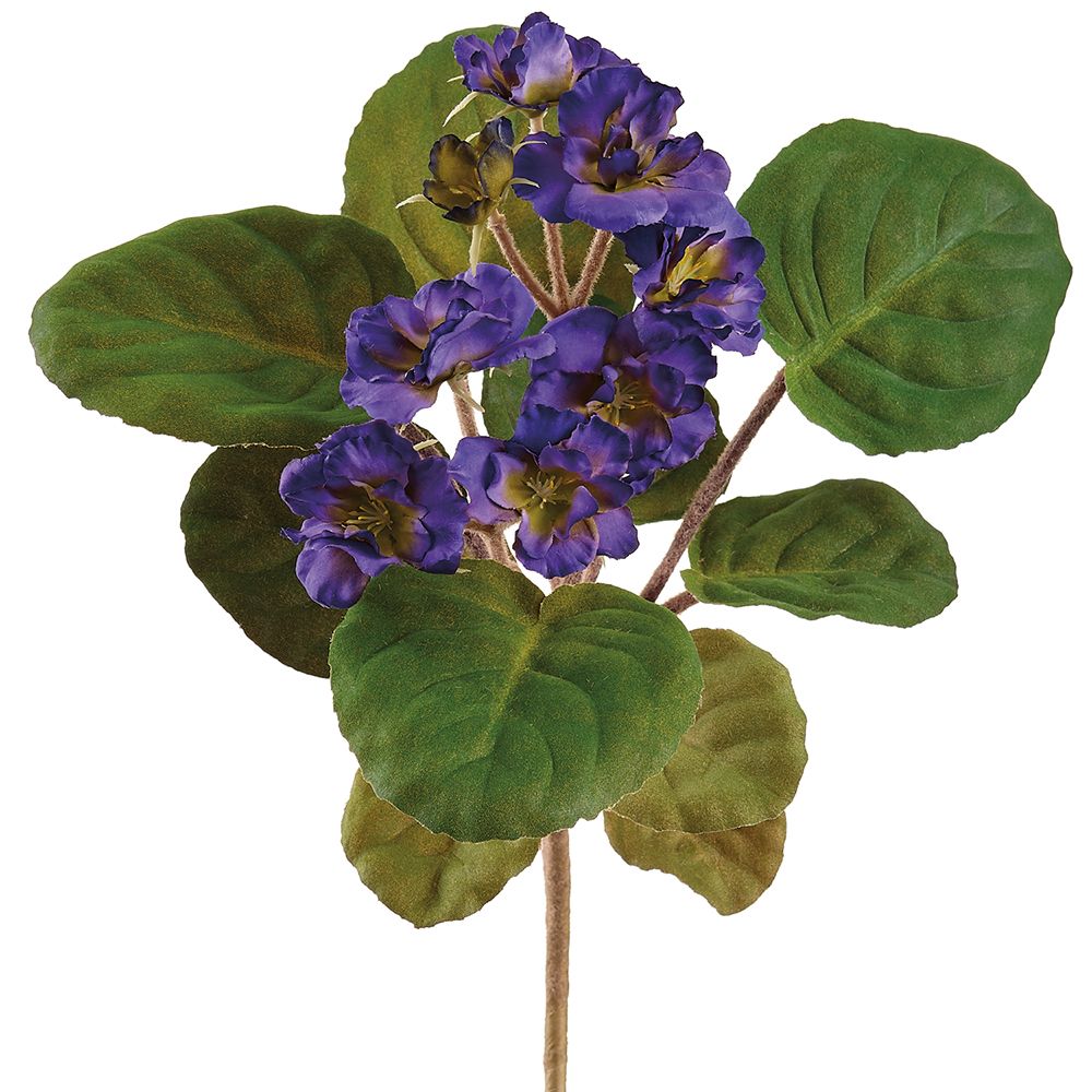 12"AFRICAN VIOLET BUSH PU