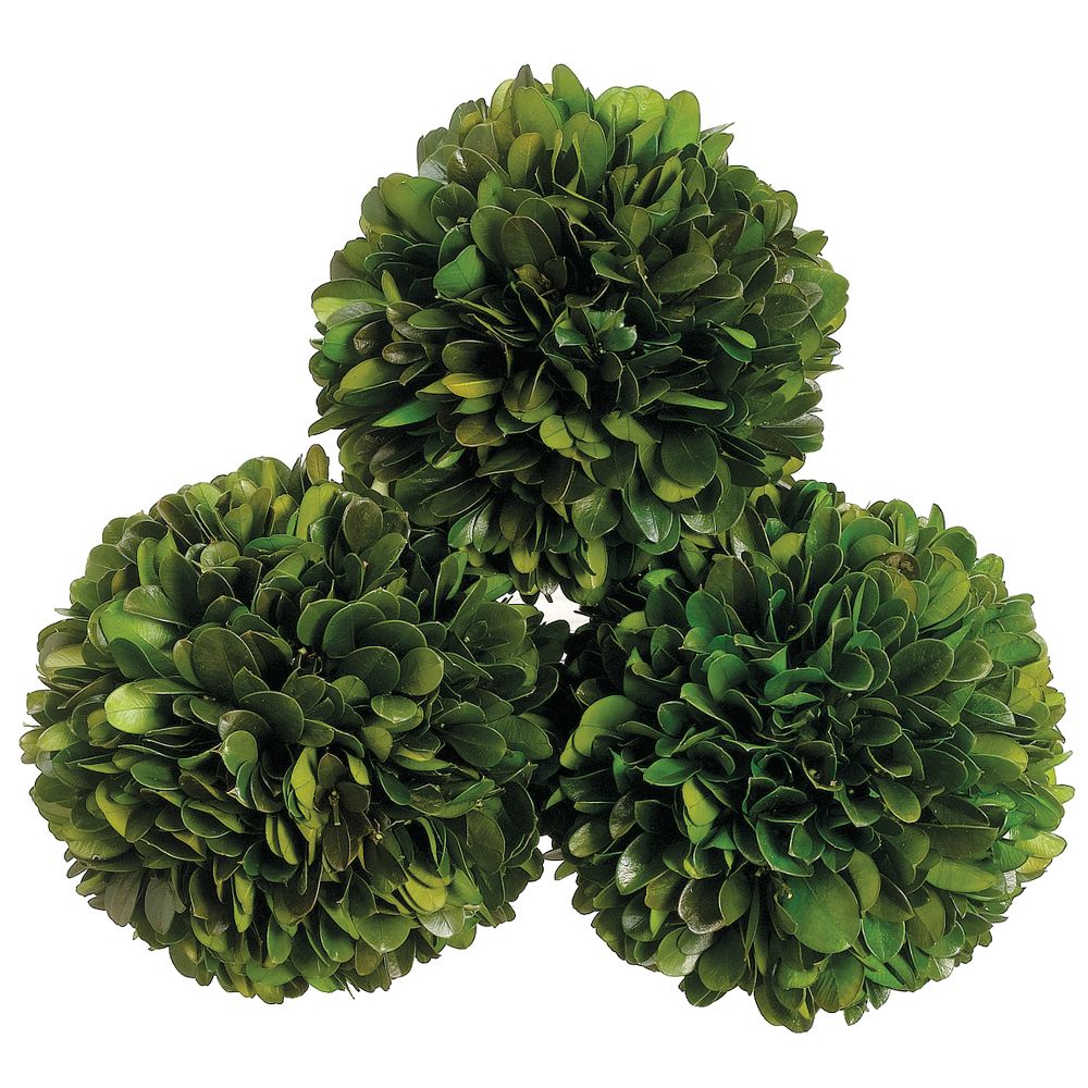 4.3"DPRE.BOXWOOD BALL (3EA/BX)
