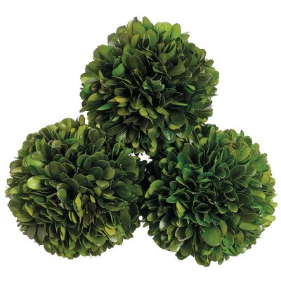 4.3"DPRE.BOXWOOD BALL (3EA/BX)