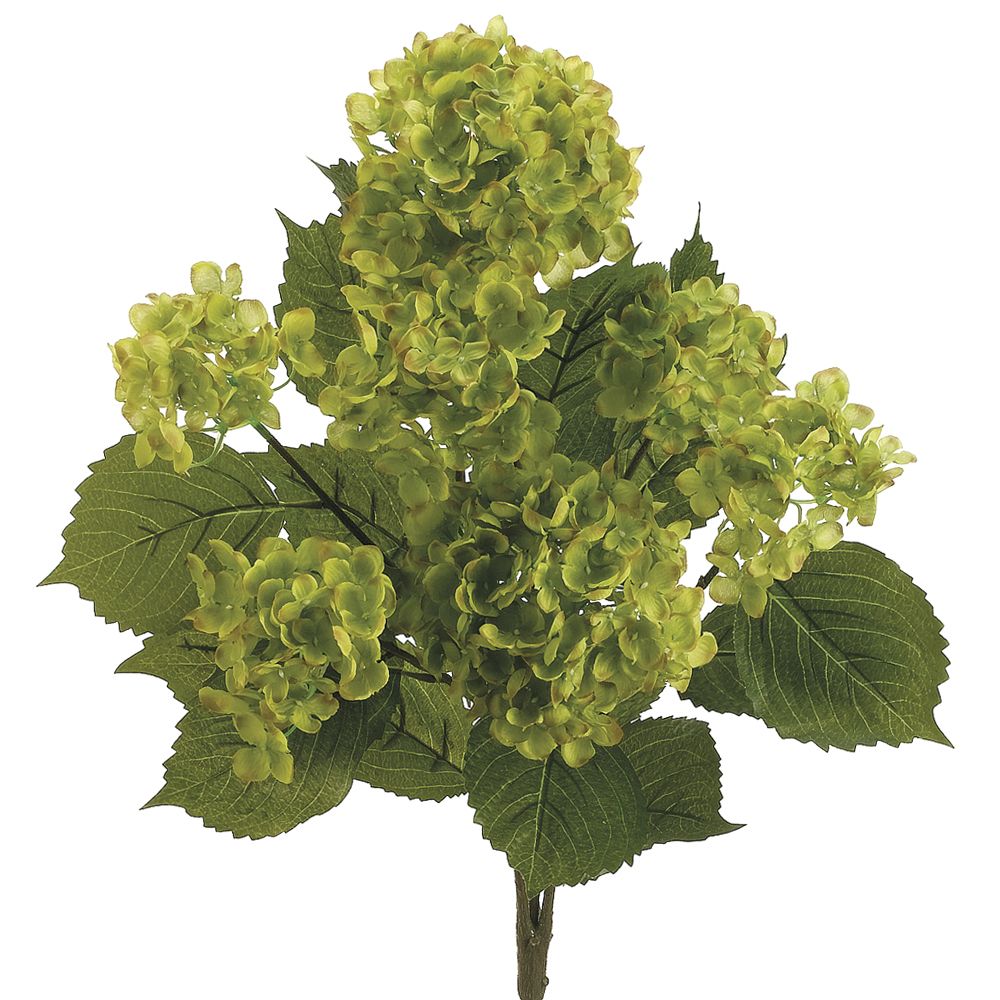 22"HYDRANGEA BUSH X7 GR