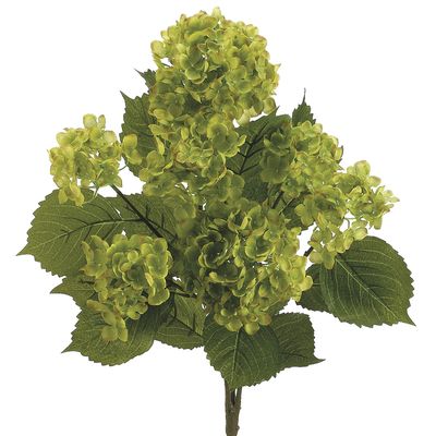22"HYDRANGEA BUSH X7 GR