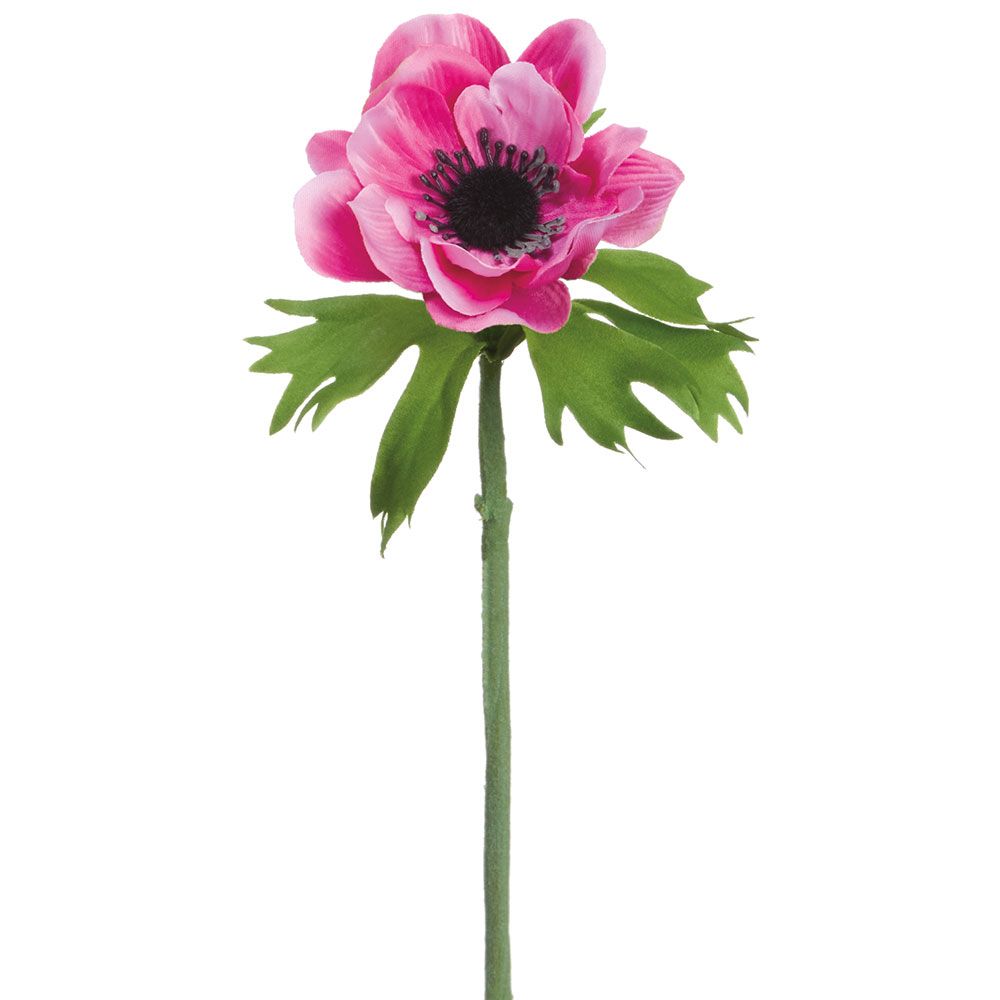 16.5"ANEMONE SPRAY FU