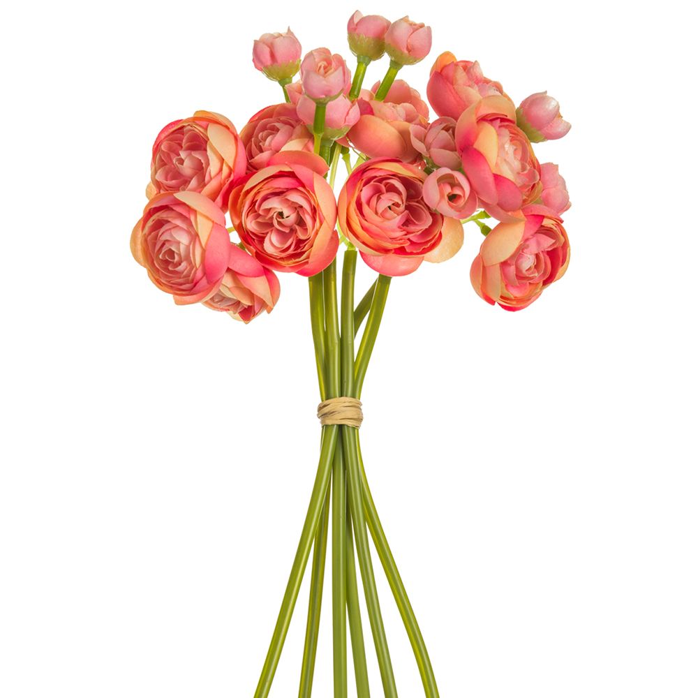 10"MINI RANUNCULUS BUNDLE X6 CO/PK