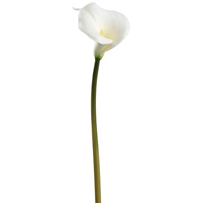 28"MEDIUM CALLA LILY SPRAY