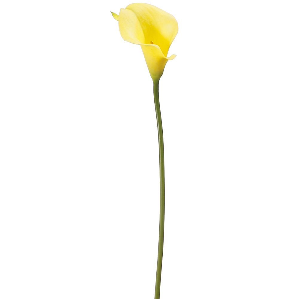 15"MINI CALLA LILY SPRAY YE