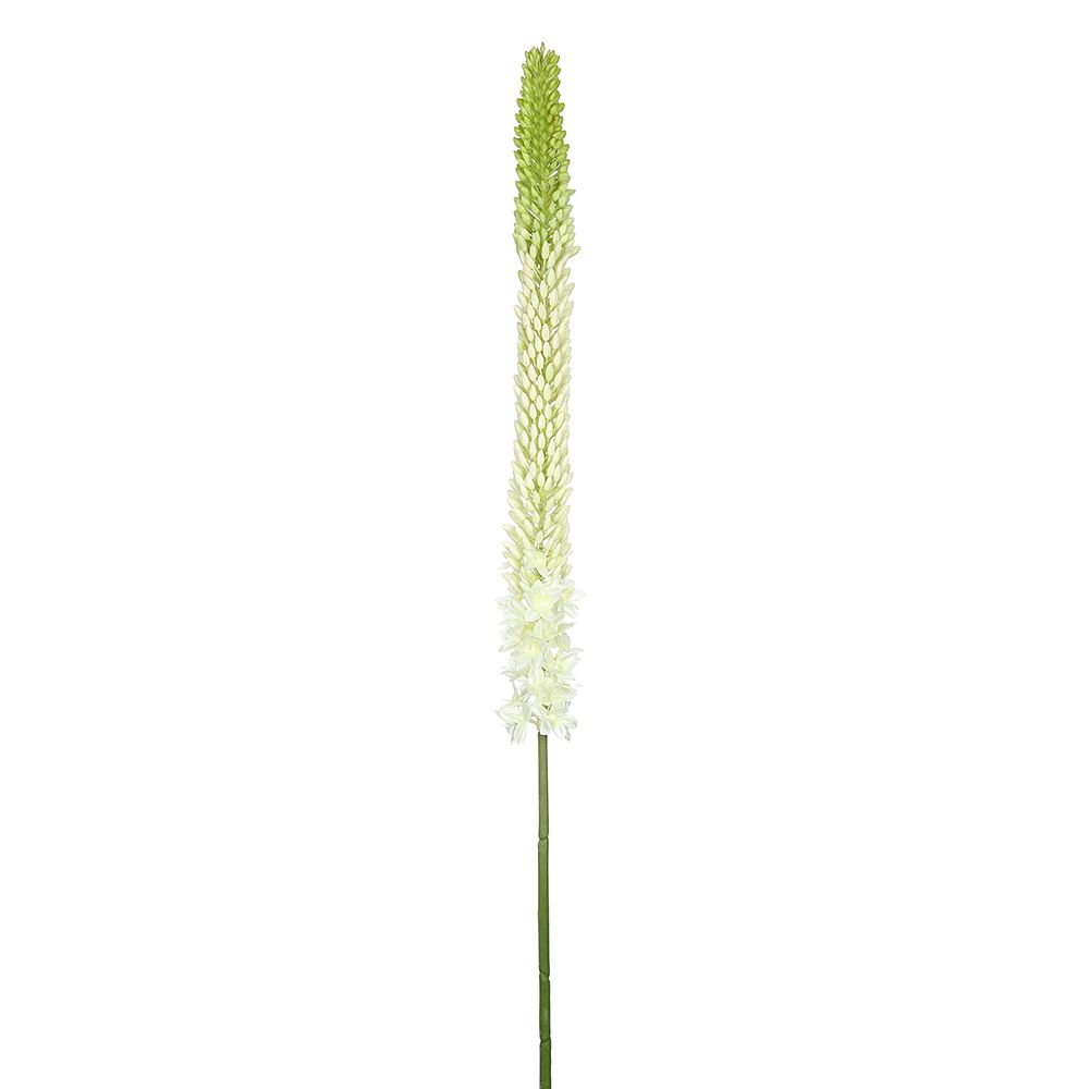 44"FOXTAIL LILY SPRAY WH/GR