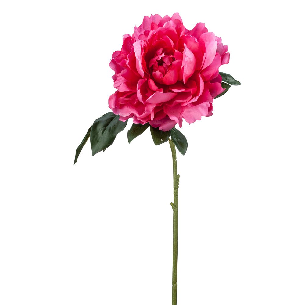 23"PEONY SPRAY BT/PK