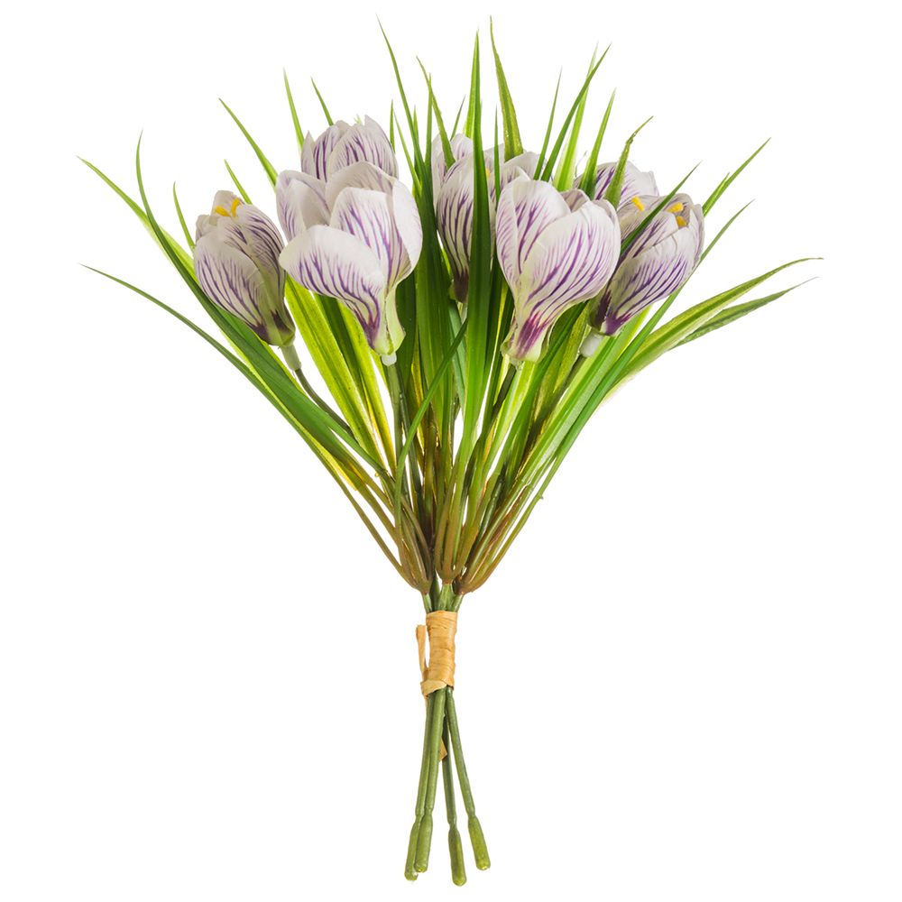 9"CROCUS BUNDLE X4 LV/CR