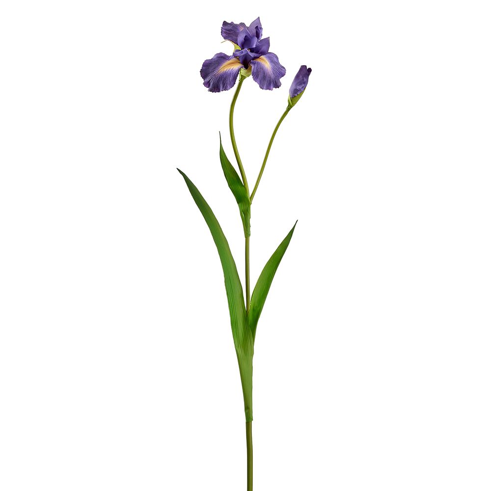 29"REAL TOUCH IRIS SPRAY PU